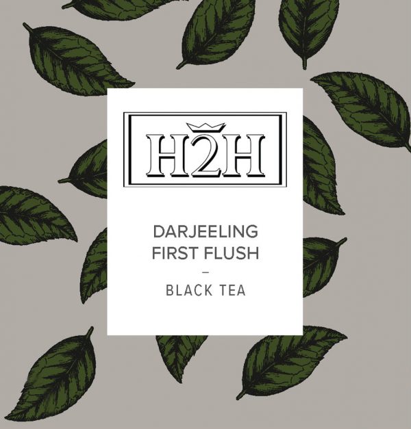 Darjeeling First Flush Holmen Coffee